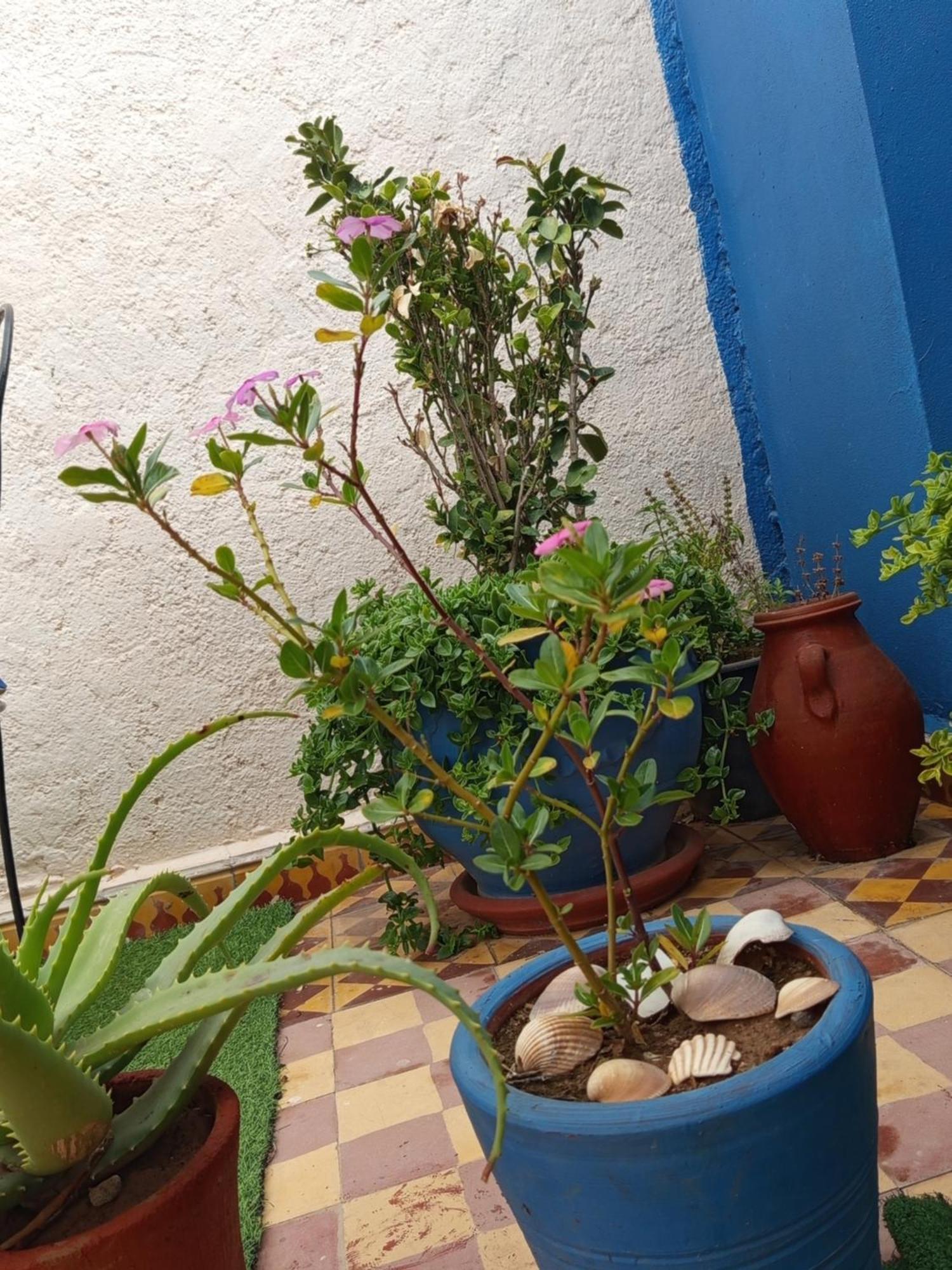 Riad Derb El Aarsa Marrakesh Exteriör bild